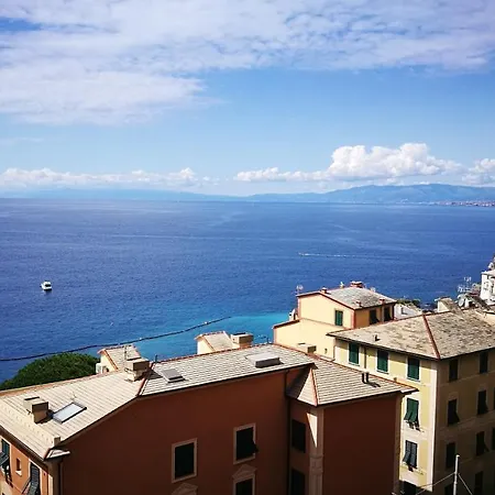 Palazzo Degli Armatori Storico * Camogli